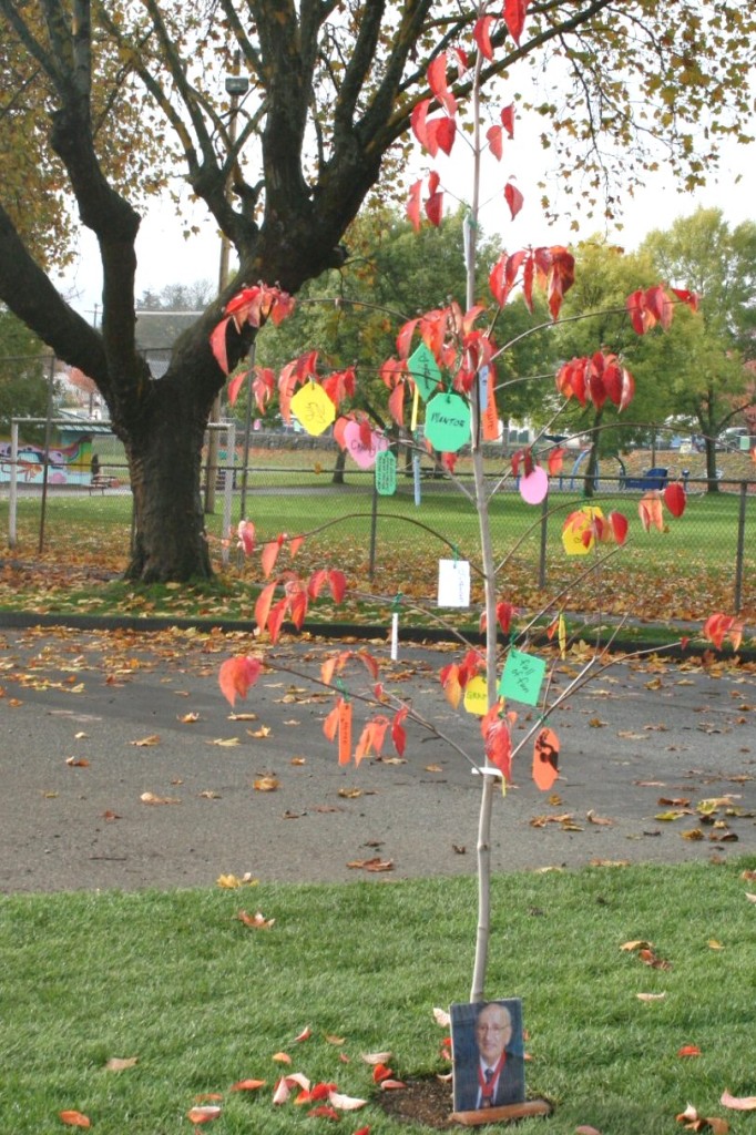 Post Note:  it's not uncommon to see people stopping to "read" the tree or to put the photo back in place after the wind has blown it over.